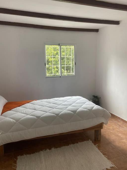Casa vacanze Luz De Vida Anaga *