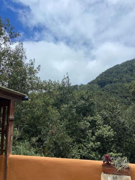 Holiday home Luz De Vida Anaga